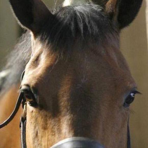 Meet your Posher, Carolyn - Picture 1 of 1